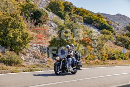 _9134274-akHO2d