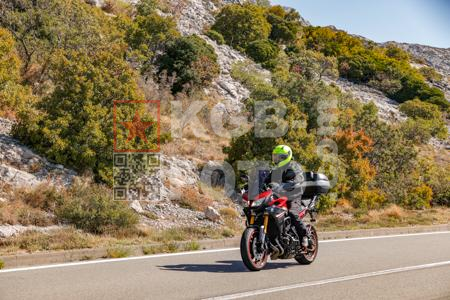 _9135359