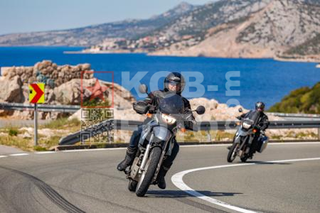 _9135919
