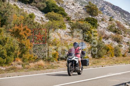 _9136091-bsfMlN