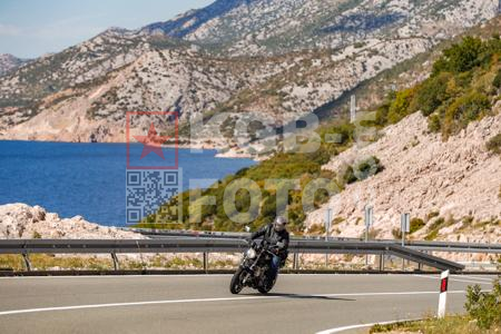 _9136985-V1ITdt