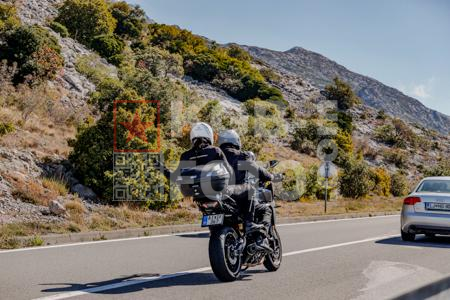 _9061006