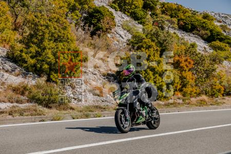 _9062096