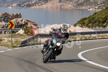_9203566