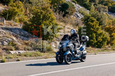 _9265503