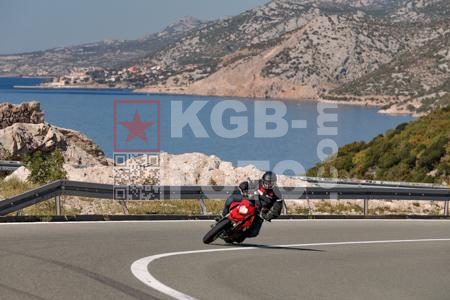 _9272054