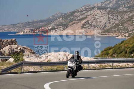 _9272195