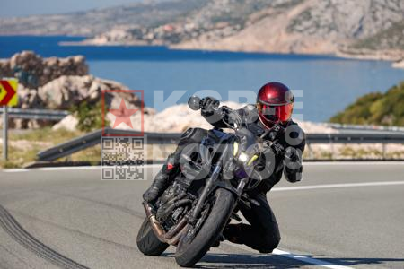 _9272388