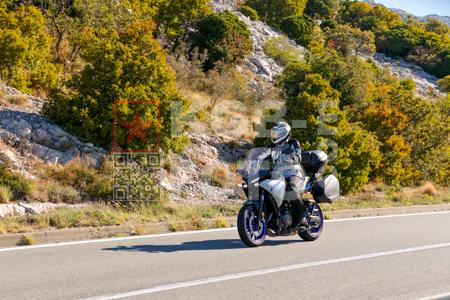 _0033799